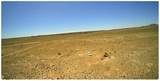 301-34-046 Storm Bluff Road - Photo 1