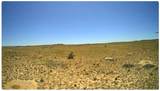 301-34-046 Storm Bluff Road - Photo 2