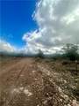 31900 Bad Dog Road - Photo 29