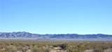 2917 Pima Road - Photo 14