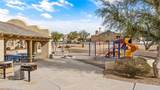 2336 Shadow Canyon Drive - Photo 60