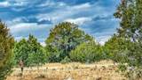 320 Acres Cross Mountain Trout Creek - Photo 1