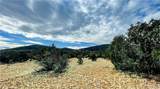 320 Acres Cross Mountain Trout Creek - Photo 13
