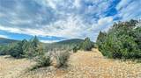 320 Acres Cross Mountain Trout Creek - Photo 15