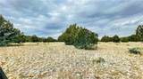 320 Acres Cross Mountain Trout Creek - Photo 16