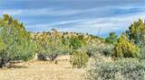 320 Acres Cross Mountain Trout Creek - Photo 17