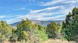 320 Acres Cross Mountain Trout Creek - Photo 18