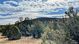 320 Acres Cross Mountain Trout Creek - Photo 19