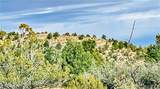 320 Acres Cross Mountain Trout Creek - Photo 20