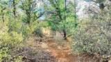 320 Acres Cross Mountain Trout Creek - Photo 22