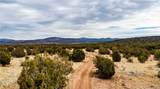 320 Acres Cross Mountain Trout Creek - Photo 23