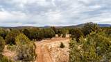320 Acres Cross Mountain Trout Creek - Photo 28