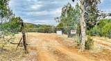 320 Acres Cross Mountain Trout Creek - Photo 3