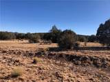 320 Acres Cross Mountain Trout Creek - Photo 33