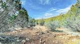 320 Acres Cross Mountain Trout Creek - Photo 5