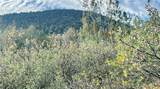 320 Acres Cross Mountain Trout Creek - Photo 6