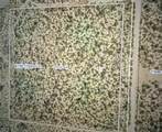 11687 Hansen Road - Photo 2