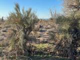 4122 Red Cloud Drive - Photo 7