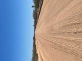 123-29-003 Mesquite Drive - Photo 9