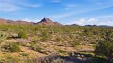 000 Cactus Wren - Photo 15