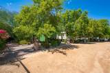 2193 Riviera Loop - Photo 39