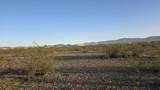 306-44-005B Estrella - Photo 12