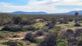 123-11-015 Dale Evans Road - Photo 17