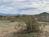 1630 Growler Road - Photo 3