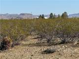 14257 Indian Wells Road - Photo 8