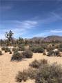 26681 Verde Road - Photo 5