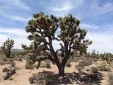26681 Verde Road - Photo 9