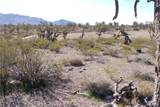 319-08-169 Kingman Drive - Photo 18