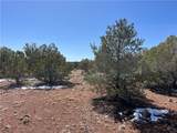 32984 Doblar Circle - Photo 10