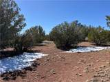 32984 Doblar Circle - Photo 12