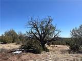 32984 Doblar Circle - Photo 14