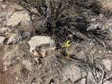 32984 Doblar Circle - Photo 15