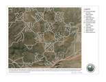 32984 Doblar Circle - Photo 19