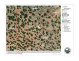 32984 Doblar Circle - Photo 20