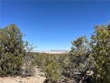 32984 Doblar Circle - Photo 3