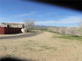 5176 N Concho Road - Photo 32