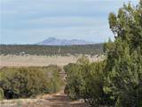 34745 Running Shadow Road - Photo 1