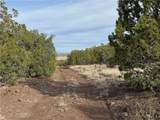 34745 Running Shadow Road - Photo 2