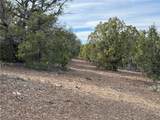 34745 Running Shadow Road - Photo 6