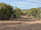 34745 Running Shadow Road - Photo 7
