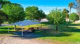 8294 Smoketree Lane - Photo 44