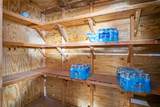 8556 Wild Horse Drive - Photo 38