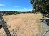 14224 Randy Ranch - Photo 38