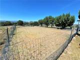14224 Randy Ranch - Photo 39