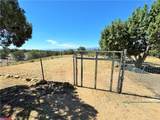 14224 Randy Ranch - Photo 40