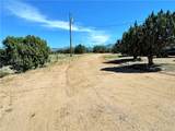 14224 Randy Ranch - Photo 47